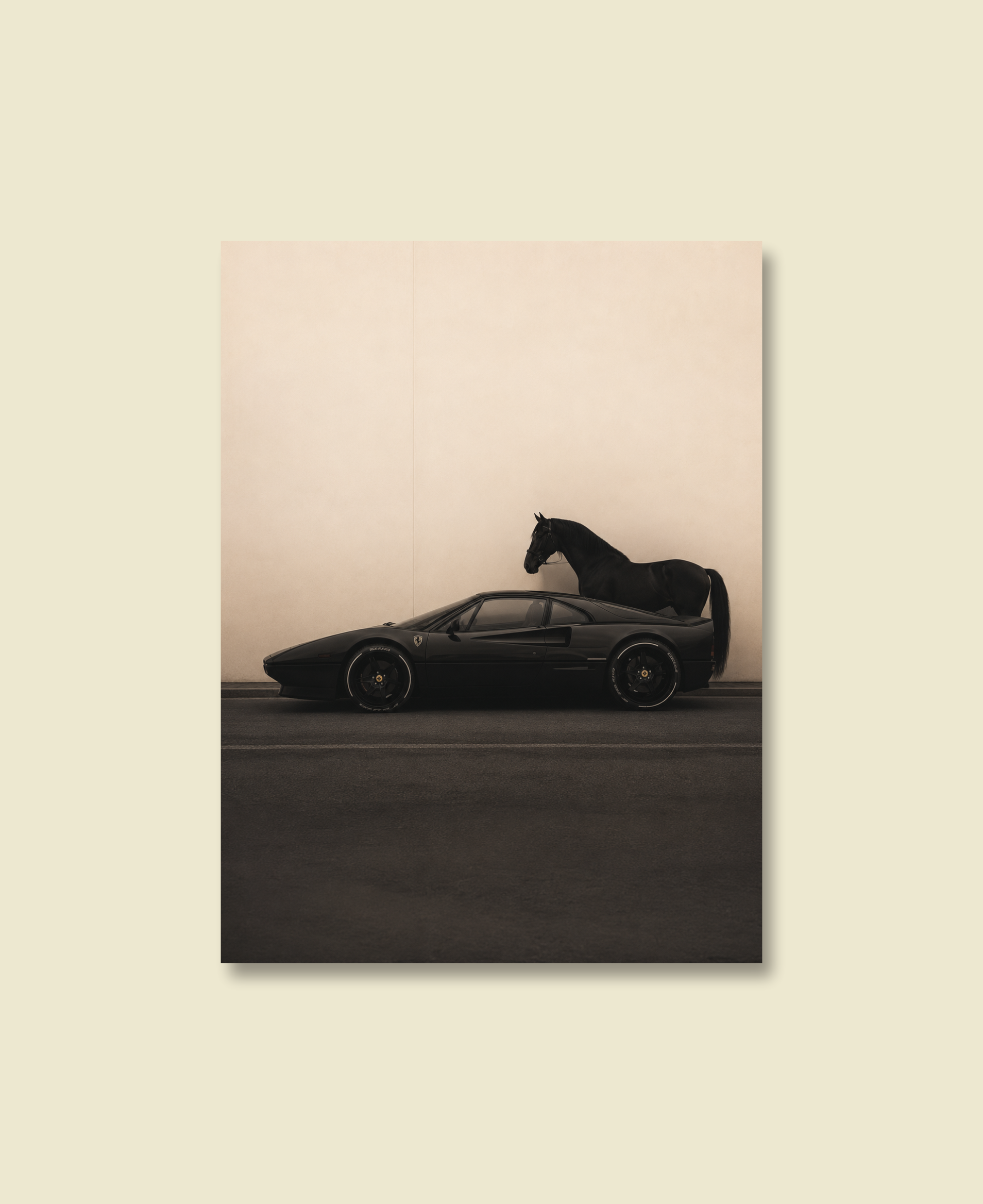 Ferrari & the Foal
