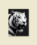 Roaring White Tiger