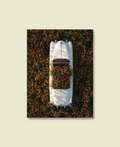 Buried in Bloom