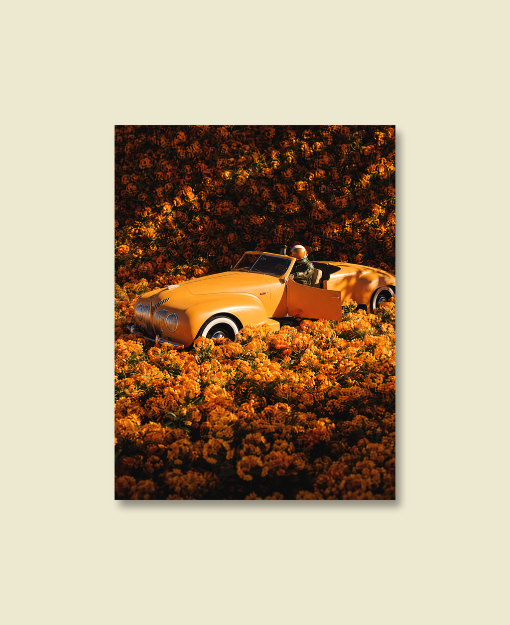 Marigold Roadster