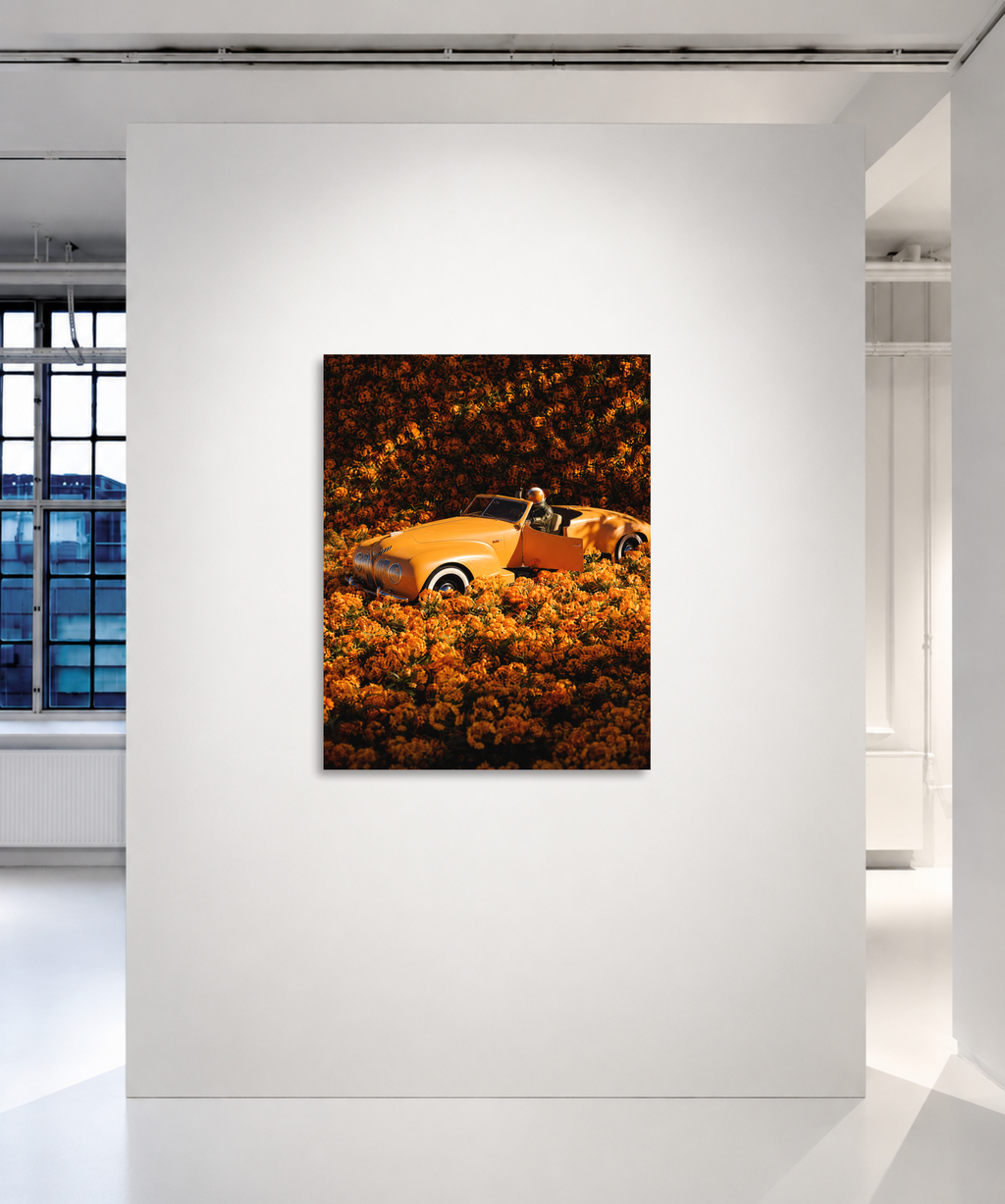 Marigold Roadster