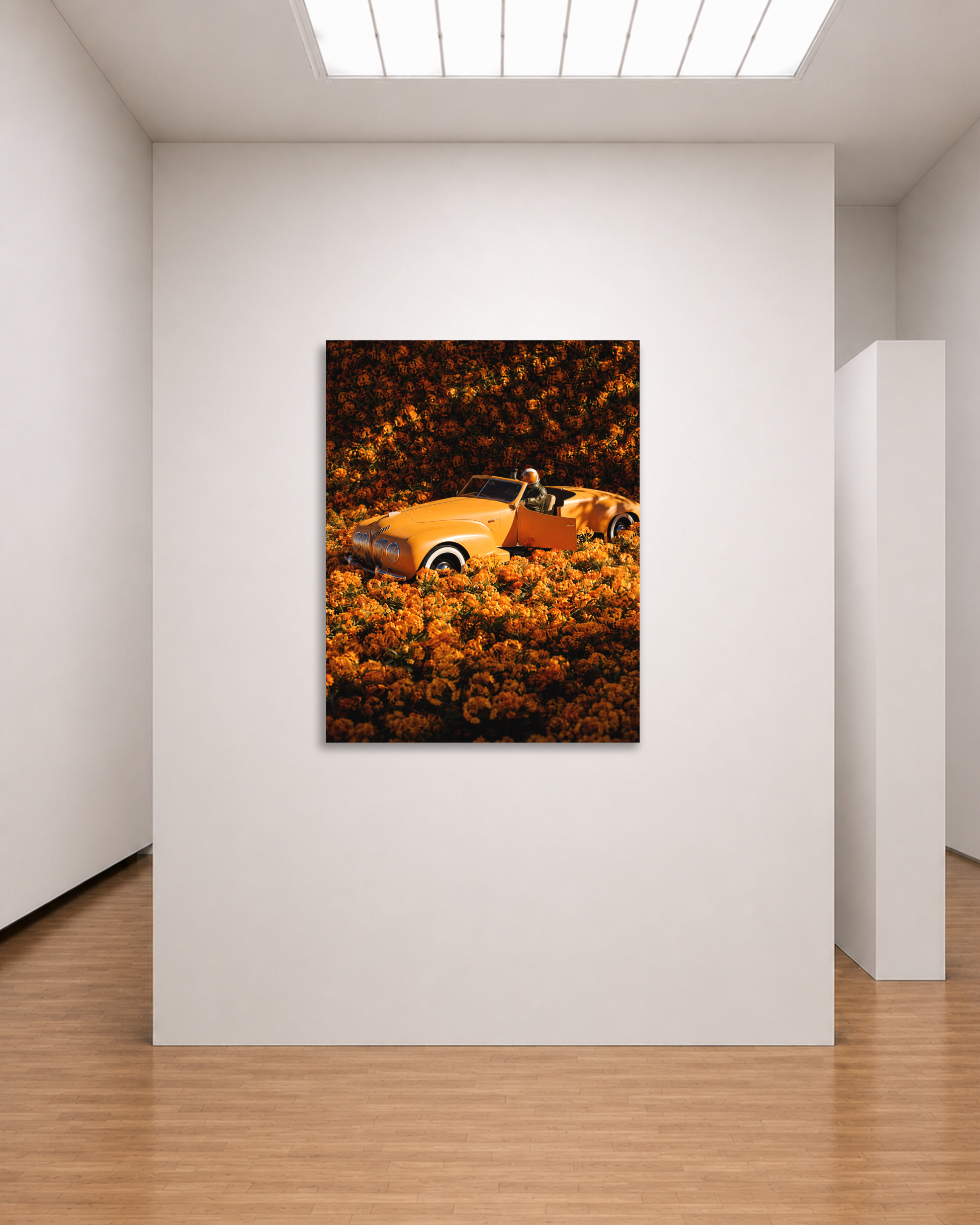Marigold Roadster