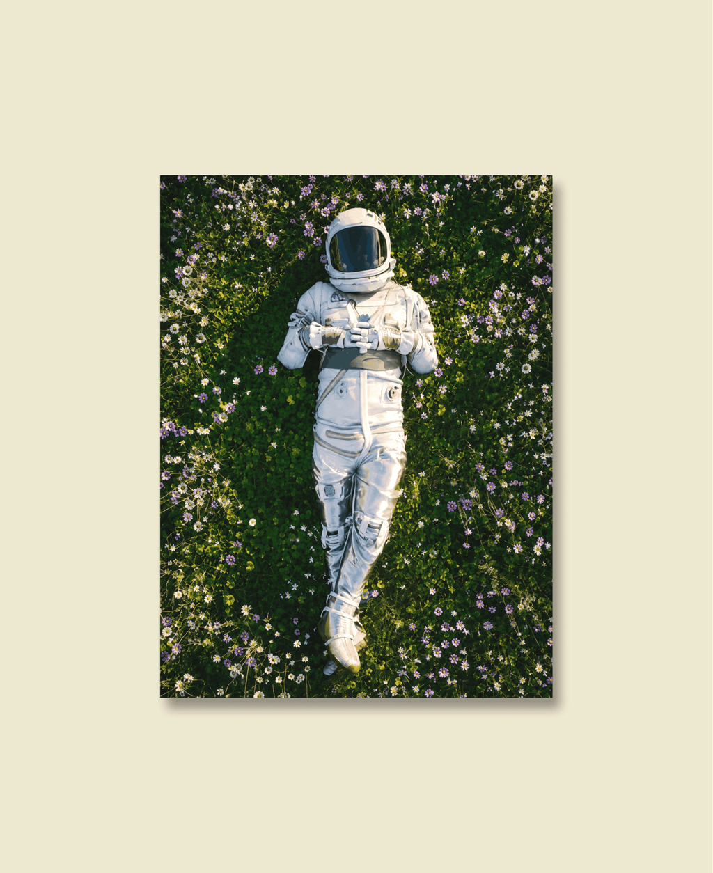 Resting in Full Bloom