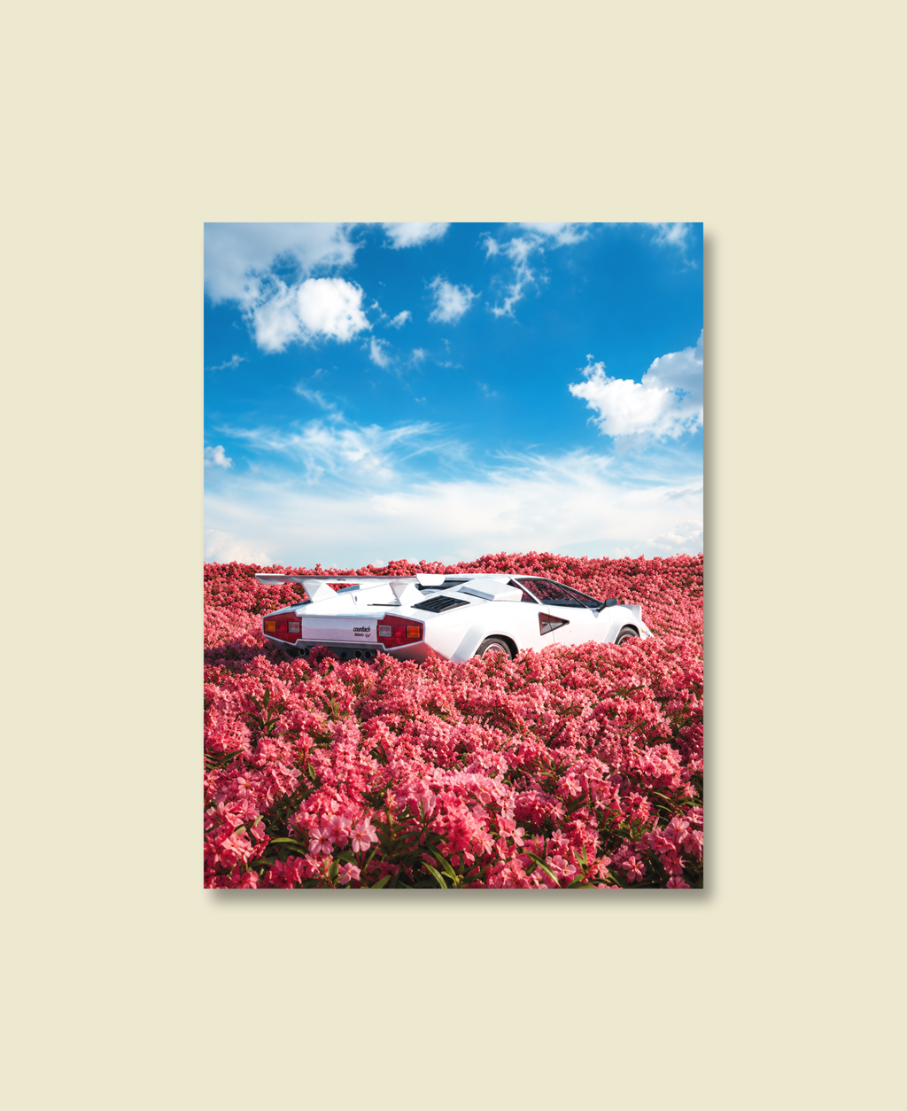 Countach in Bloom