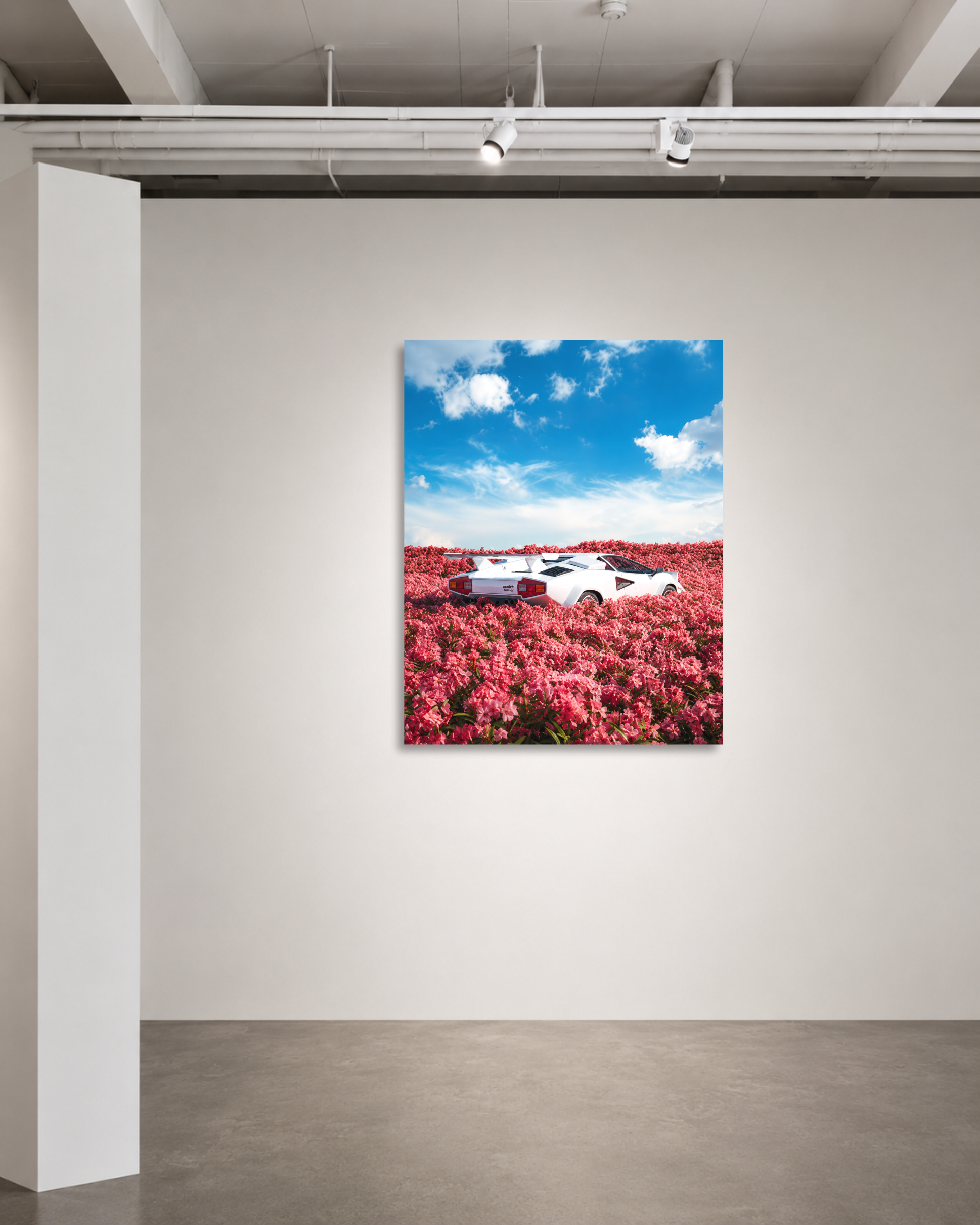 Countach in Bloom