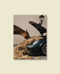 Hay & Horsepower