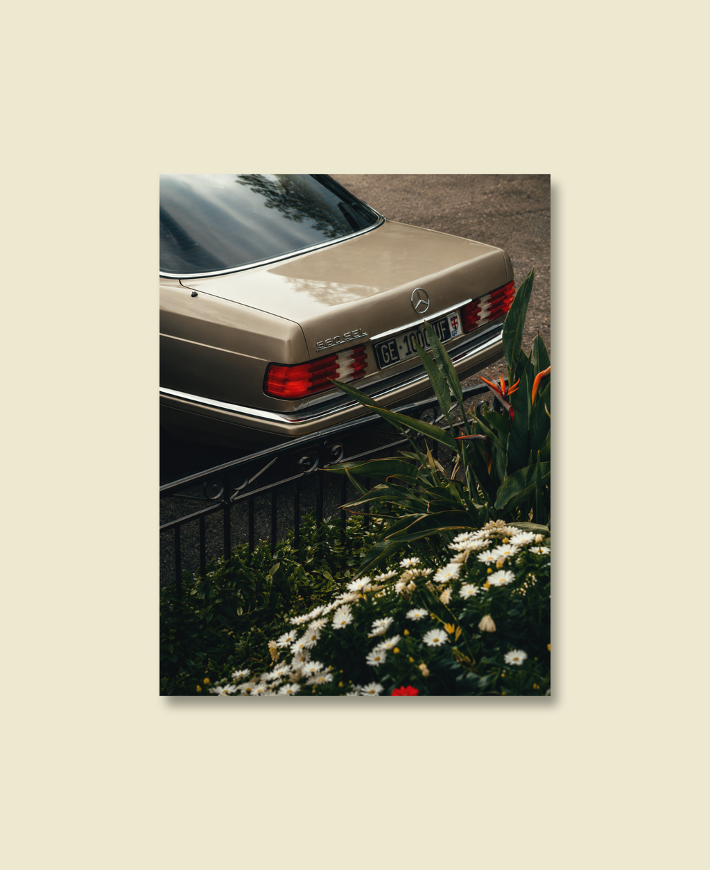560 SEL, Garden Edge