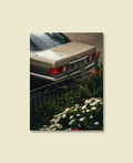 560 SEL, Garden Edge