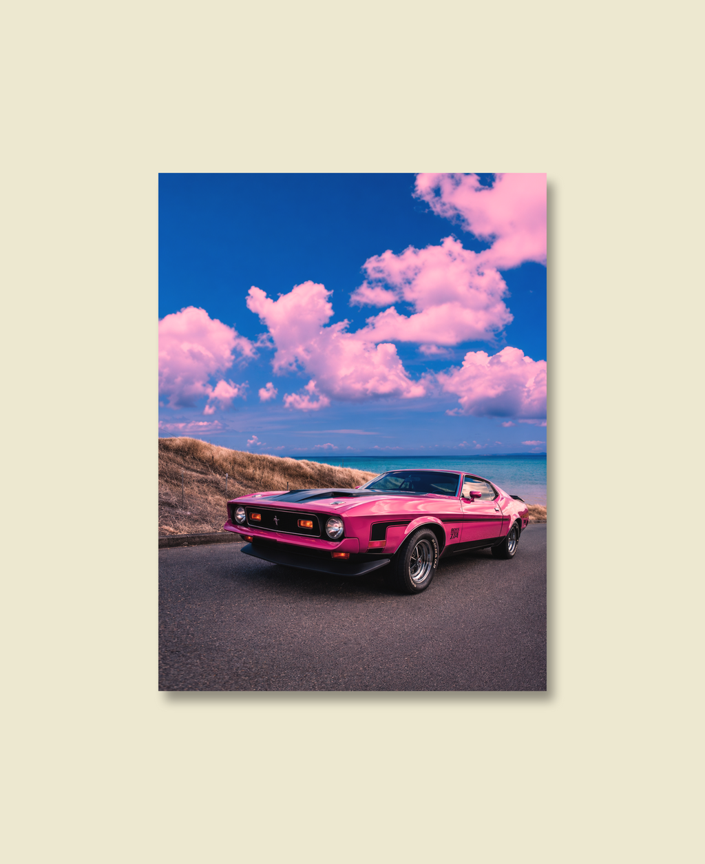 Pink Boss T/A