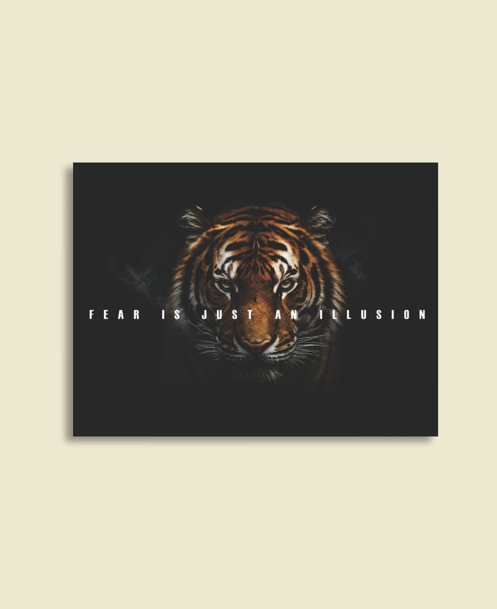 Fear Is Just An Illusion