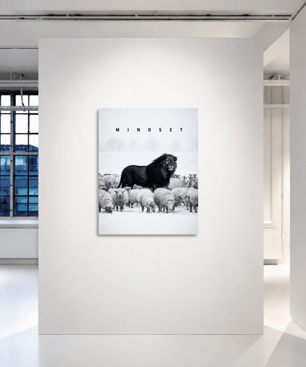 Among Sheep
