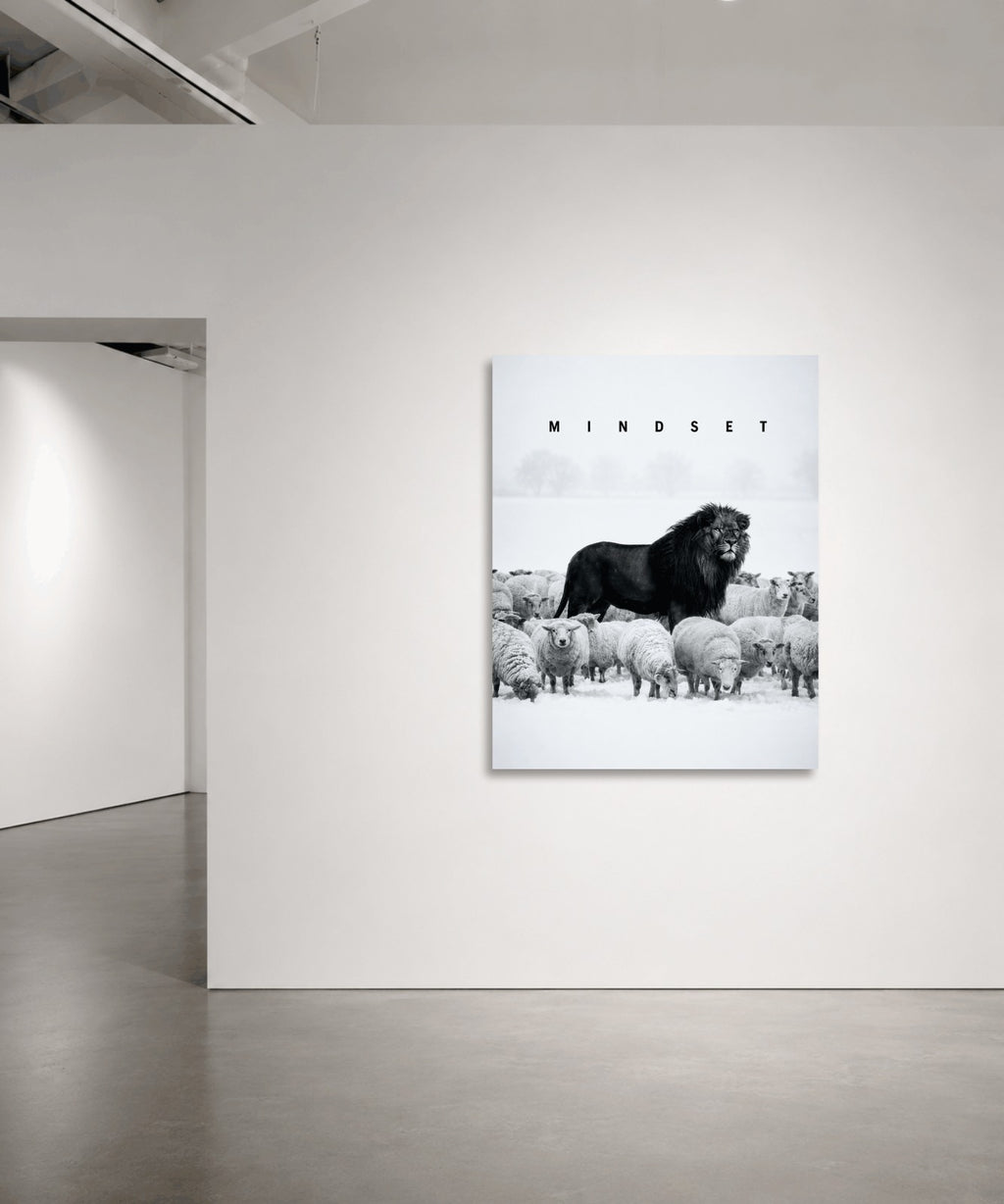 Among Sheep