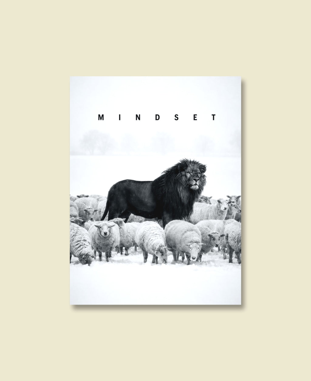 Among Sheep