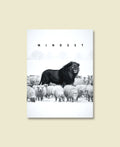Among Sheep