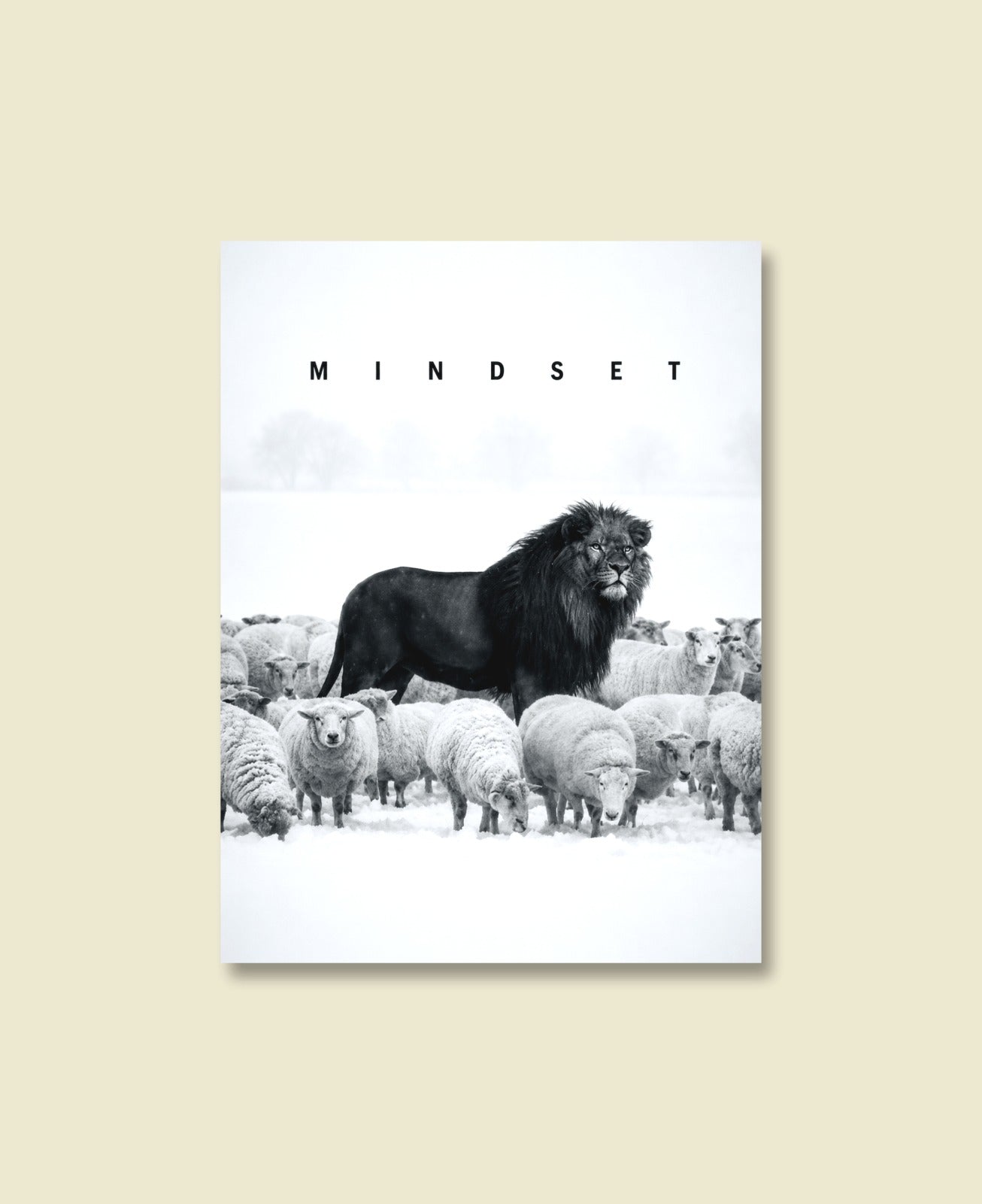 Among Sheep