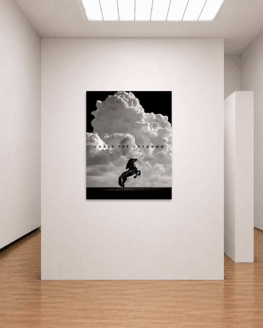 Chase The Unknown