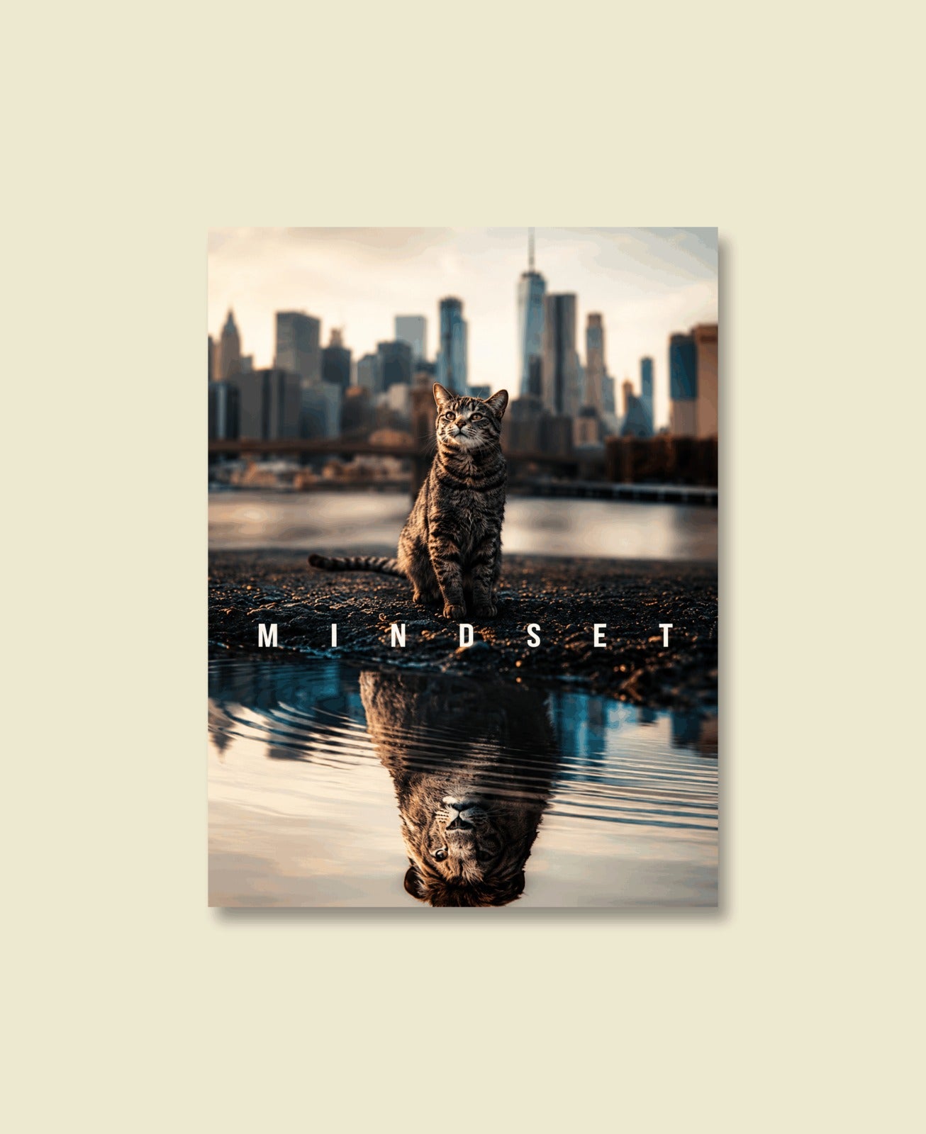 The Reflection