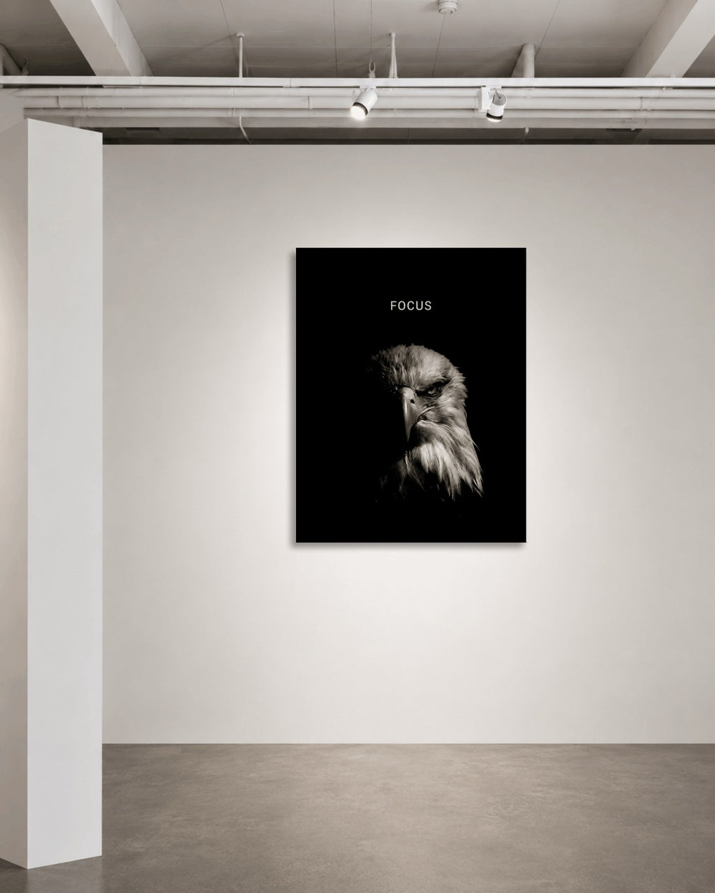 Eagle Focus