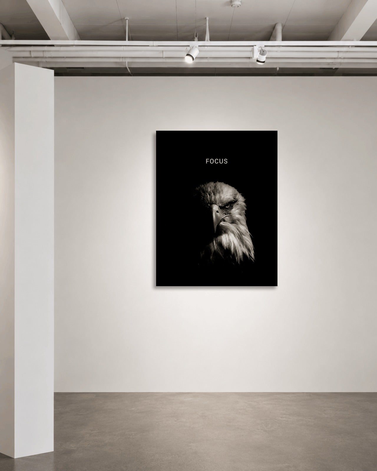 Eagle Focus