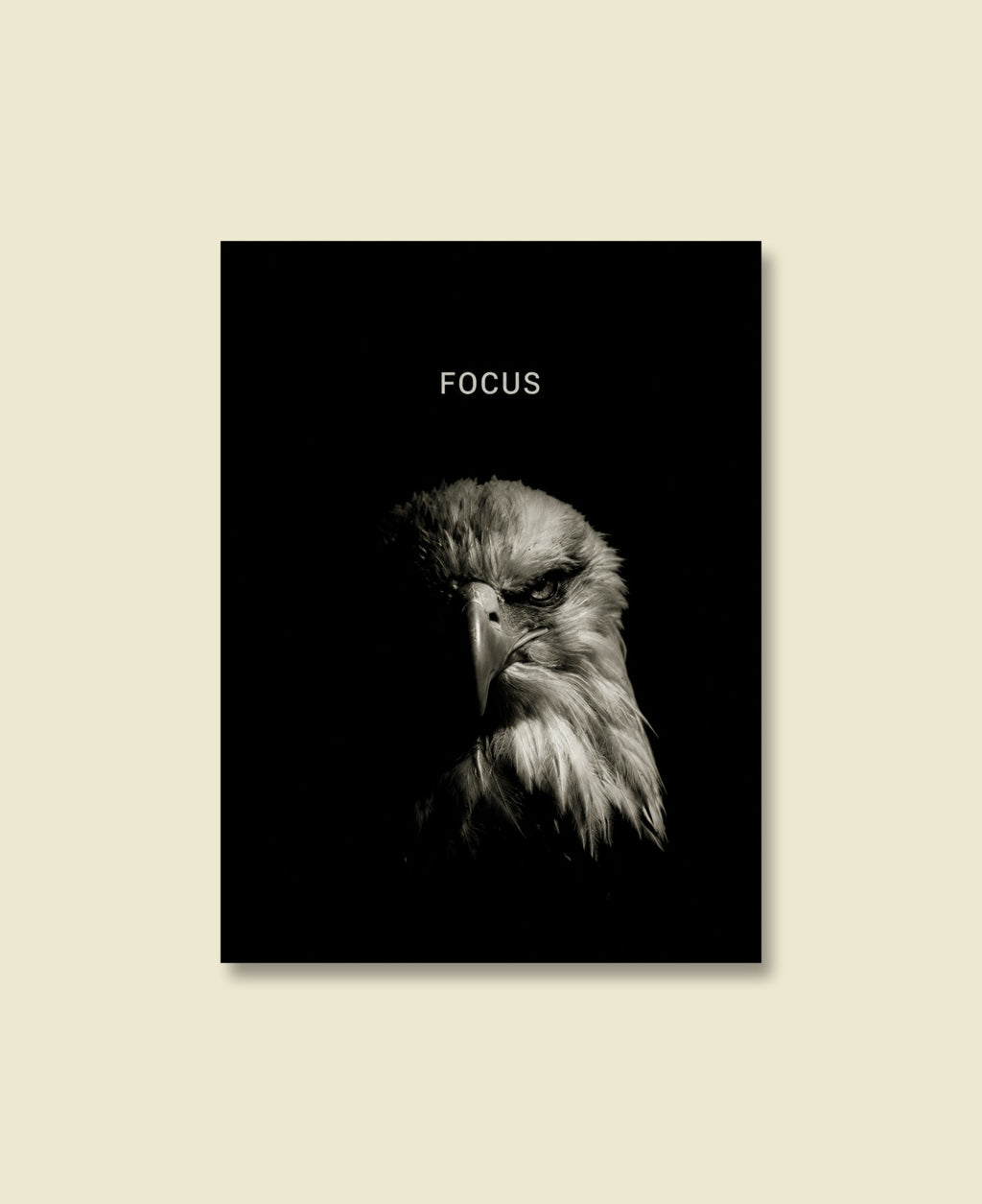 Eagle Focus