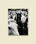 One Track