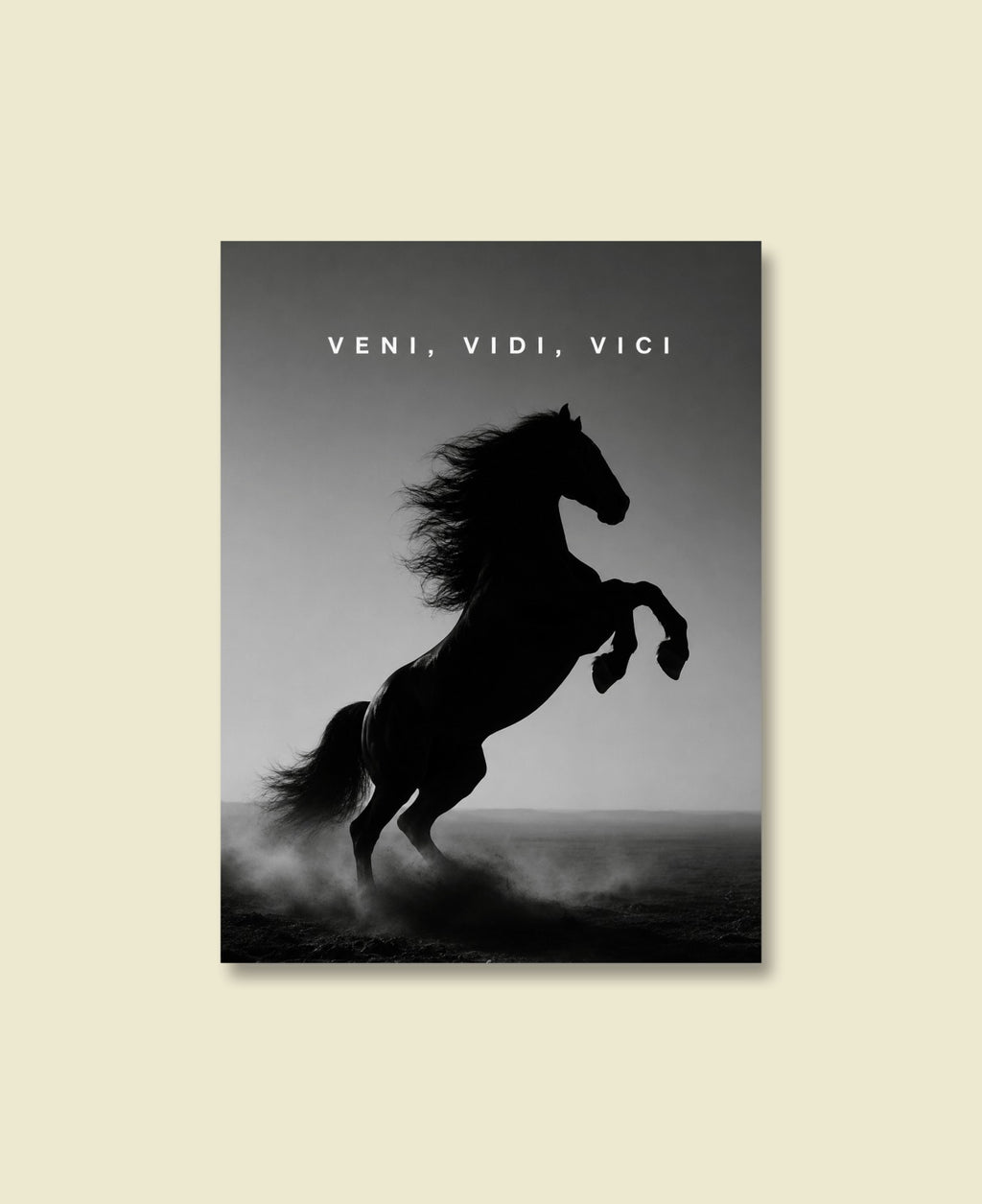 Veni Vidi Vici